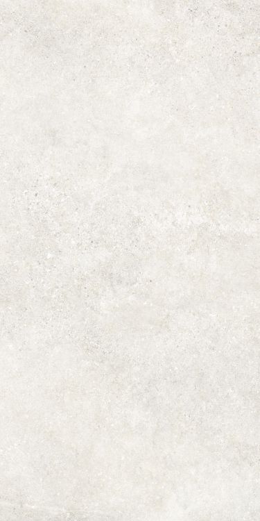 Untamed Wander White 24 x 48